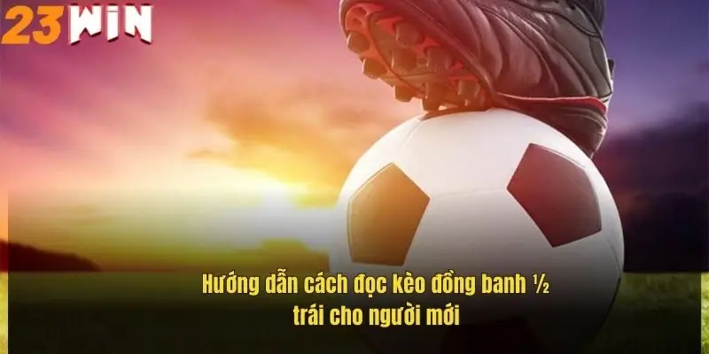 huong-dan-cach-doc-keo-dong-banh-nua-trai-cho-nguoi-moi